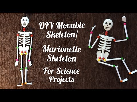 How to make movable Skeleton Model/ DIY Marionette Skeleton/Easy way to make Skeleton Model at Home