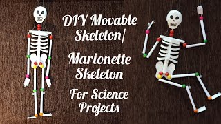 How to make movable Skeleton Model/ DIY Marionette Skeleton/Easy way to make Skeleton Model at Home