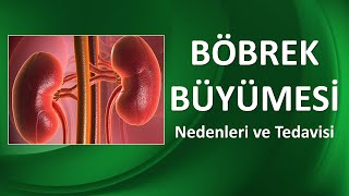 BÖBREK BÜYÜMESİ-HİDRONEFROZ NEDİR? NASIL TEDAVİ EDİLİR? Resimi