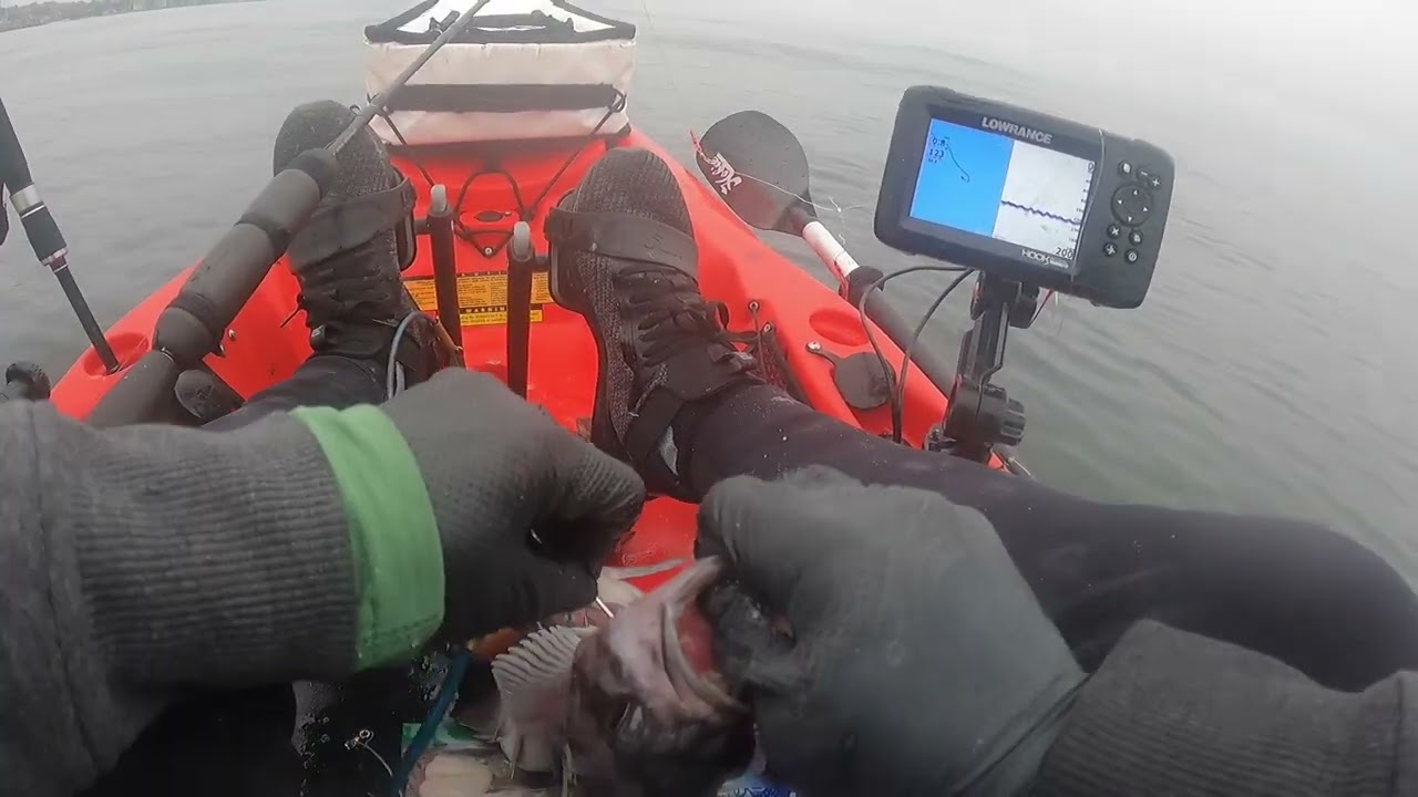 monterey bay rockfishing 2023!