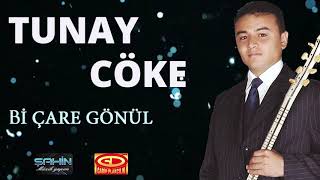 Tunay Cöke - Bi Çare Gönül Resimi