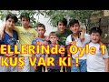 Çocukların Elinde Çok Kıymetli Bir Kuş Var. Eren ve Serhat Ortakların Güvercin Kümesi.Gebze Güvercin