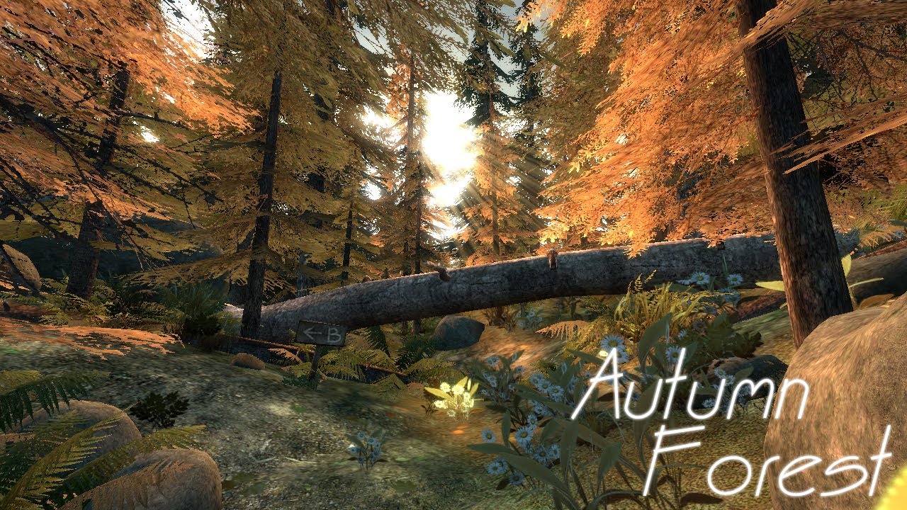 Animation - Autumn Forest