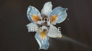Video thumbnail of "Tor - Red Tide (Official Audio)"
