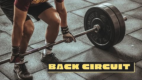 Unlock the Power of a Strong Back: Back Workout Circuit Revealed!!)