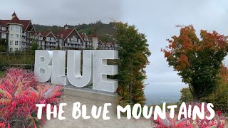 Поездка в The Blue Mountains