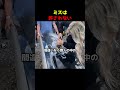 ミスは許されない