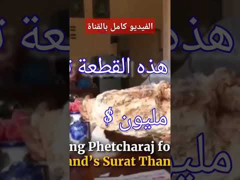 اخراج العنبر من بطن الحوت عطر العنبر