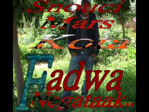 Snouci Fadwa Negataak