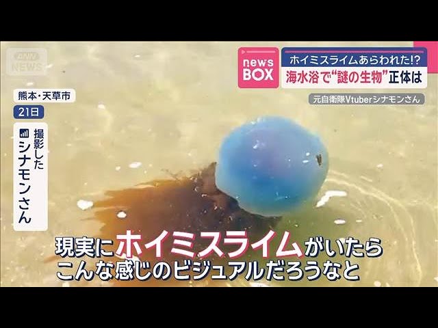 海水浴場に“謎の生物”正体は？ ホイミスライムあらわれた