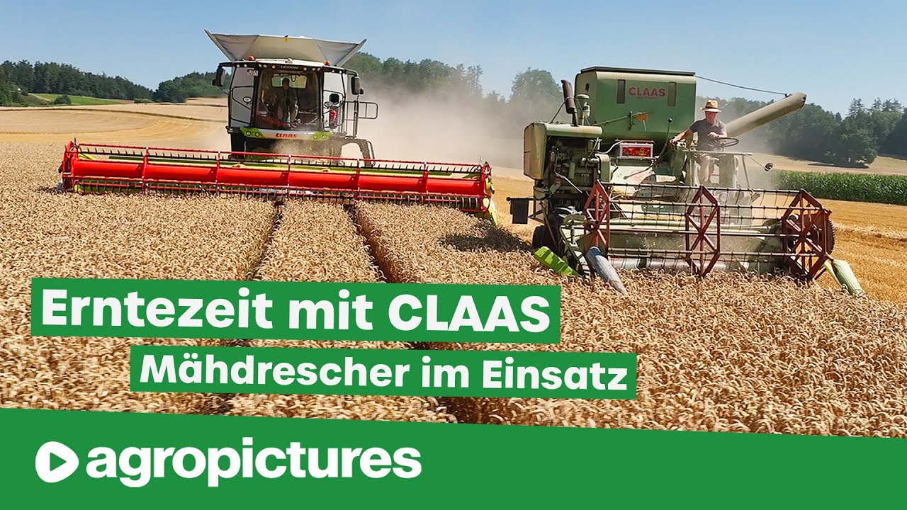Erntezeit – Claas Mähdrescher im Einsatz von der Gerste bis zum Mais | Claas Trion und Lexion