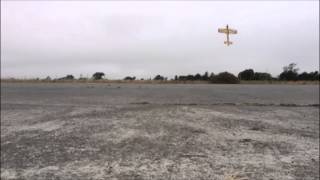 Yak attacked by Funcub