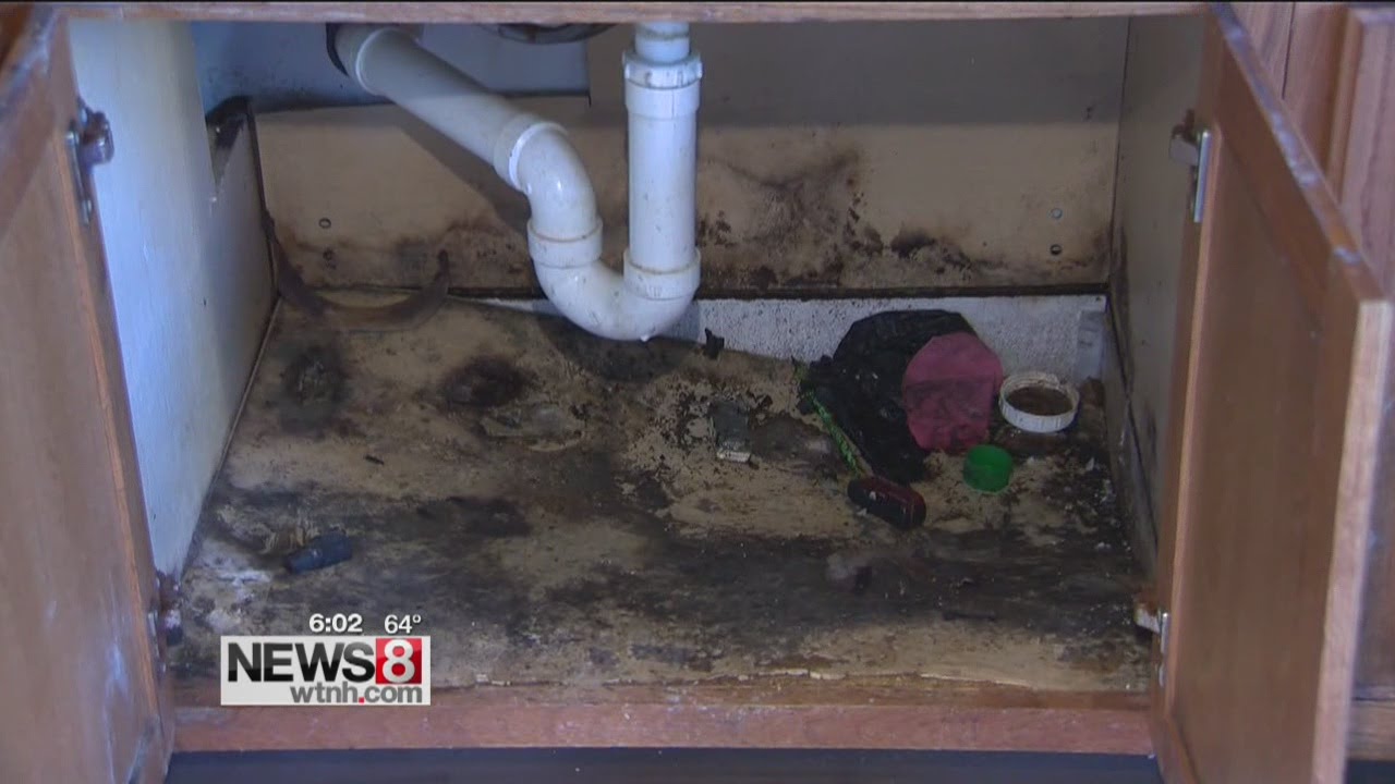 Federal lawsuit filed over Church Street South housing complex YouTube