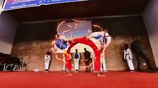 Fantastic Taekwondo Malawi 2024