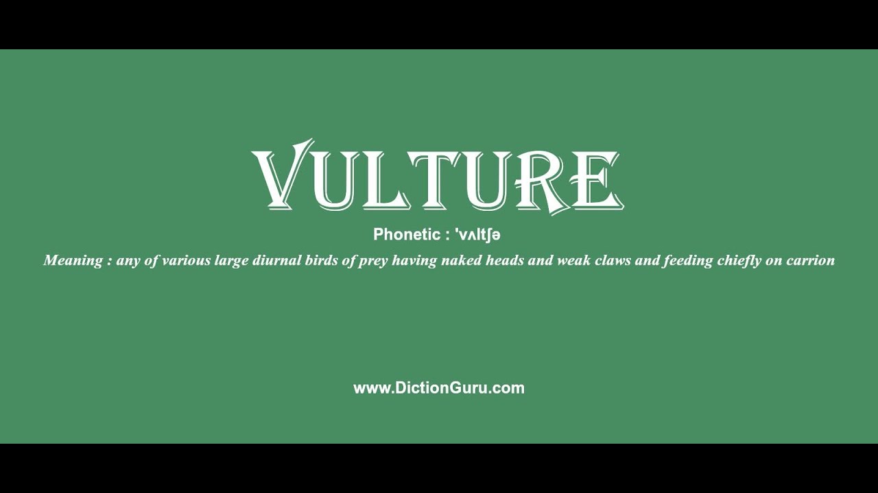 vulture Pronounce vulture with Meaning, Synonyms and Sentence Examples YouTube