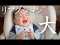 【離乳食】バナナを食べた後の0歳児の反応がオーバーリアクションすぎて面白い…！※最後に「バナナ」って言います（半分だけ）