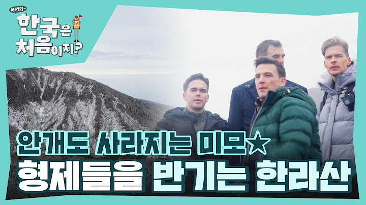 덴마크 F4등장에 서서히 걷히는 안개?! 안개도 사라지는 덴마크 형제들의 미모✨ l #어서와한국은처음이지 l #MBCevery1 l EP.336