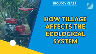 EFFECTS OF AGRICULTURAL ACTIVITIES ON ECOLOGICAL SYSTEMS | BIOLOGY screenshot 5