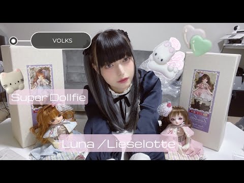 値下げ交渉可！幼SDロリーナ 詰っ