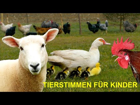 Video: Nicht hier und nicht jetzt. Die magischen Landschaften von Barbara Florczyk