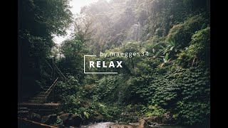 Relaxing Rainforest Thunderstorm Sounds with Birds chirping in Forest - Meditation, Sleep, Nature