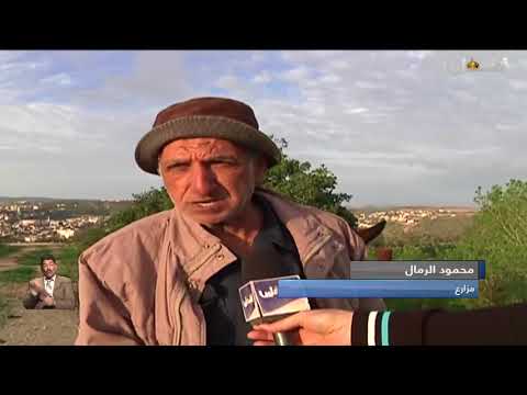 سلفيت دخول المزارعين لأراضيهم خلف جدار الضم والتوسع مرهون بمزاجية جنود الاحتلال تقرير محمد اشتية