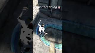cow shredding 🐮 #shorts