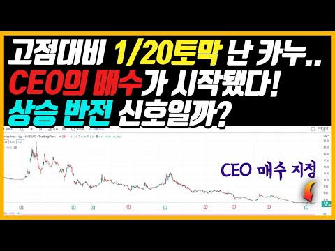 1억 투자했다면 현재 잔고 500만원인 카누 CEO의 매수가 시작됐다 상승 반전의 신호일까 카누 전기차 월마트 계약이 호재 