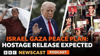 What does the next stage in the Israel-Gaza peace plan look like BBC Newscast