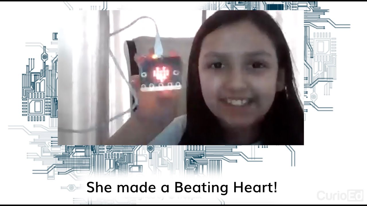 Ida’s Science and Coding Projects: Digital Dice and a Beating Heart ...