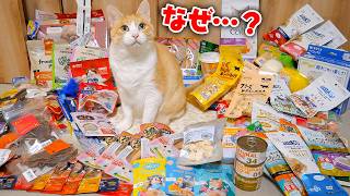 うちの猫たちに”とんでもない量”のプレゼントが届いてしまったので開封したら…。猫たちが暴れ回って大変なことになりました。