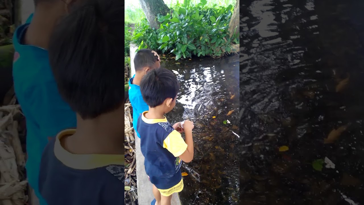 7800 Foto Penampakan Ikan Misterius HD Terbaru