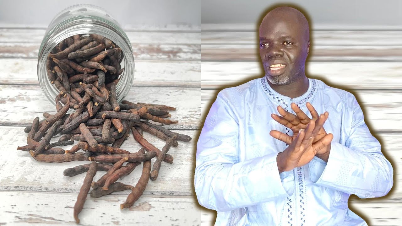 🍂 Ndiarignou Diarr: Vertus Baies de Selim ou Poivre de Guinée - Pr Ousmane Ndiaye - SAMA XALAAT TV