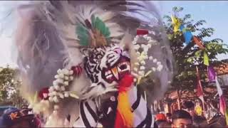 #stori WA #story WA barongan                  story WA barongan