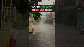 가라앉은 기운 살리는 장마철 풍수 비법 3가지! #풍수 #풍수인테리어 #풍수소품 #금전운 #재물운 #비법 #장마 #장마철
