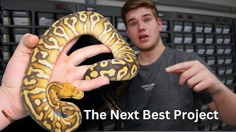 Are Clowns The Future?