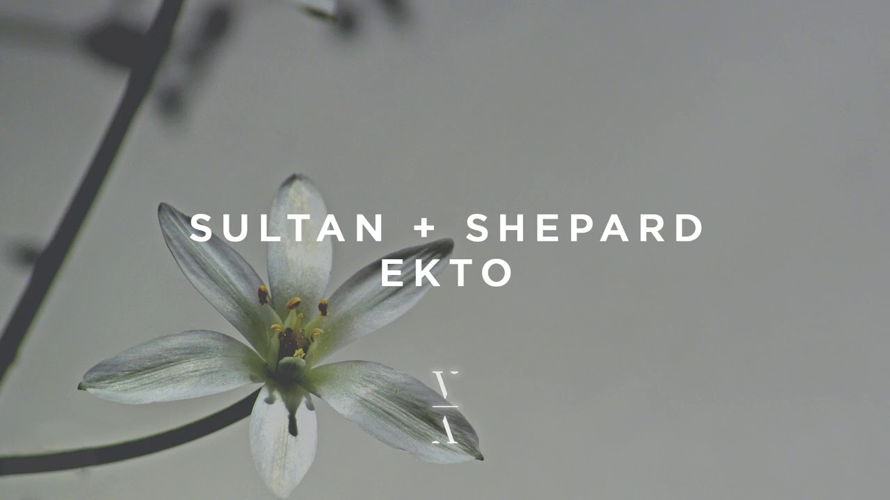 Sultan + Shepard - Ekto - YouTube