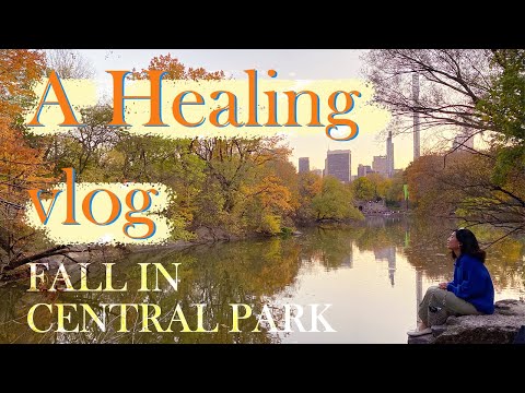 A Healing Vlog | Autumn Fall in Central Park 2020