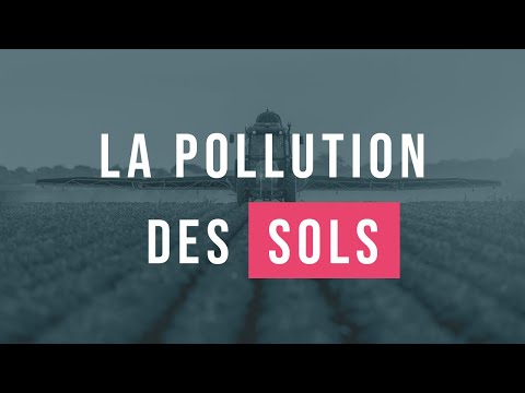 Vidéo: La pollution humaine des sols et ses conséquences. Évaluation de la pollution des sols