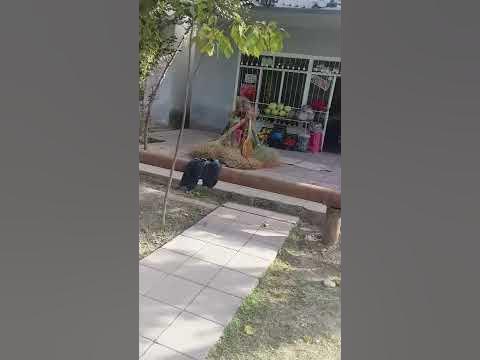 Zerdab rayonu YouTube