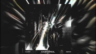 Vluarr & Merow - Control