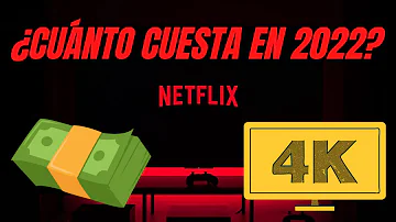 ¿Cuánto cuesta Netflix al mes en España?