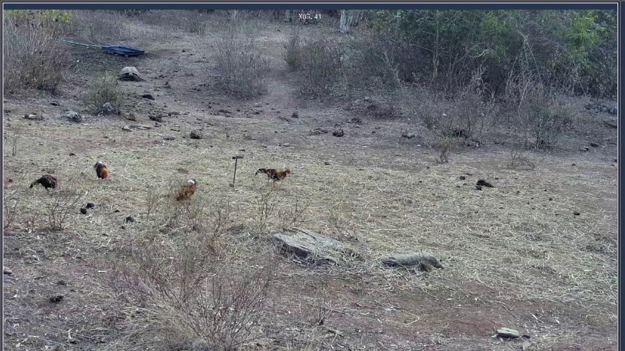 Ese lunessssssssssssssssss