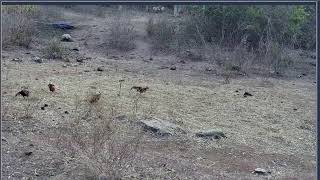 Thumbnail image for Ese lunessssssssssssssssss