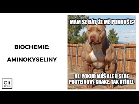 Video: Jak se tvoří bílkoviny z aminokyselin?