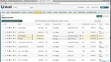 Real time Skuid Opportunity Dashboard
