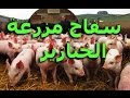 سفاح مزرعة الخنازير سلسلة الظواهر الغامضة 