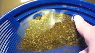 Where to Pan for Gold: Tips for the Amateur Prospector From a “Pro” -  HobbyLark