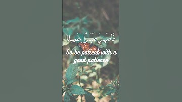 فاصبر صبرا جميلا❤ بصوت القارئ حمزة بوديب🎧         #القرآن_الكريم #سورة #حمزة_بوديب #تلاوة_خاشعة