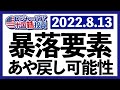 金融危機の暴落予想を的中させたマイケル・バリーも警告!今の上昇は単なる揺り戻し!?CPIなど重要な経済指標発表と共に米国株式相場を振り返ります【米国株投資】2022.8.13